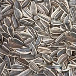 Whole Sunflower Seeds