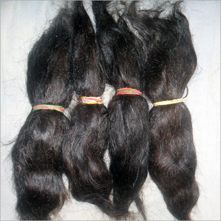 Human Hair Wigs