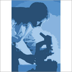 Product Inspection & Quality Check Services