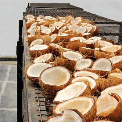 Coconut Dryer Machine