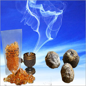 Musk Hina Dhoop