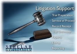 Litigation Support