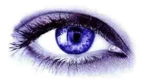 Intellectual Property Infringement Investigations