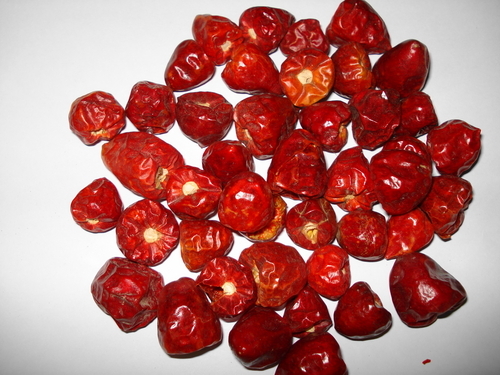 Mundu Round Chillies