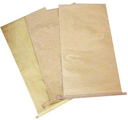 Kraft Paper Bags