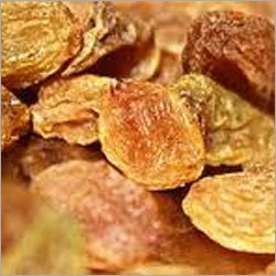 Dried Raisins