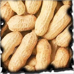Ground Nuts