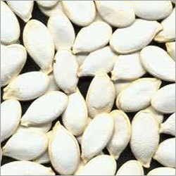 Snow White Pumpkin Seeds