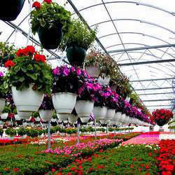 Horticulture services