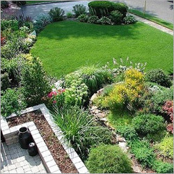 Landscape Designing Services