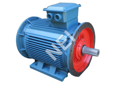 AC Motor with Double Flange