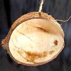 Coconut Shell Bird Feeder