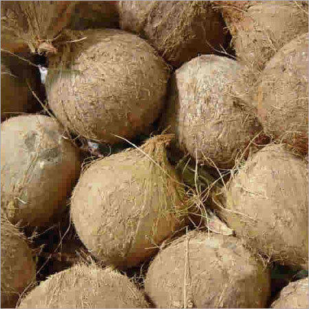 Coconut Shell