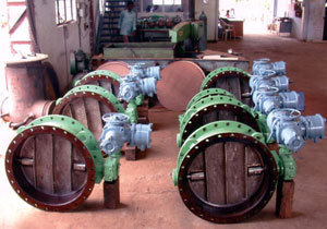 Fabricated Butterfly Valves