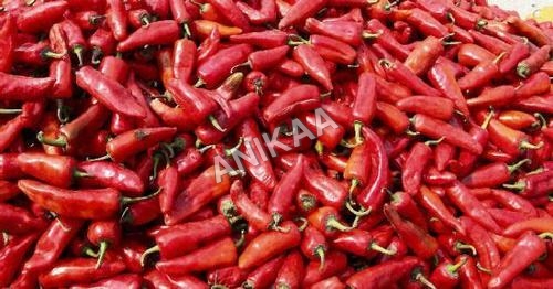 Red Chilli