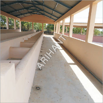Cow Sheds Construction Work