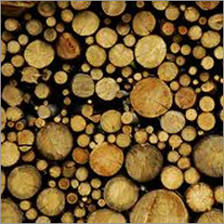 Logs
