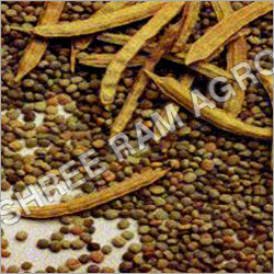 Guar Gum Seed