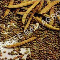 Guar Gum Seed - High Purity, Brown Color, Varying Size | Easy To Grow, High Nutrition, Pest Resistant, Long Shelf Life, Rich Aroma