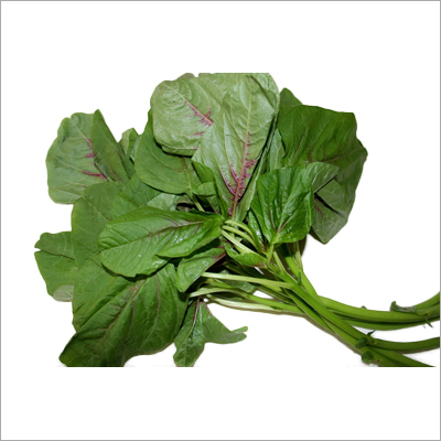 Green Leaves - Green Leaves Exporter & Supplier, Sivakasi, India