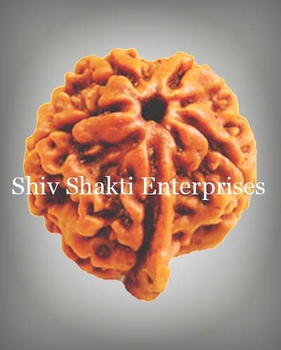 Shri Ganesh Rudraksha