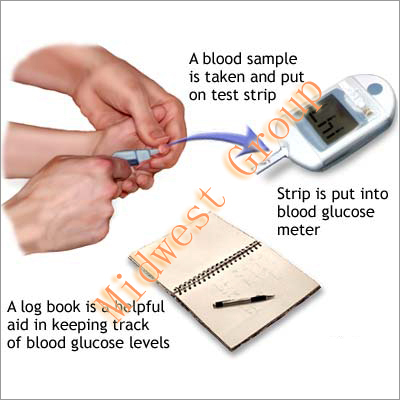 Digital Blood Glucose Monitor