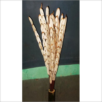 sola chips flower