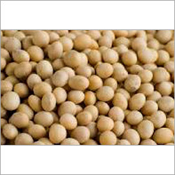 Organic Soya Bean