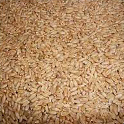 Lokone Wheat