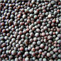 Black Mustard Seeds