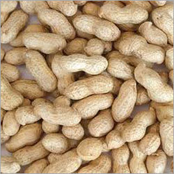 Cashew Kernels