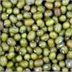South Indian Green Gram