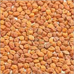 Kabuli Gram