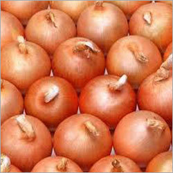 Small Red Onion