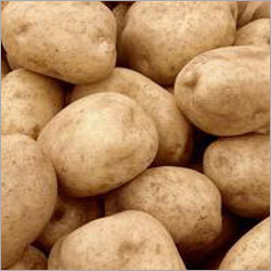 Farm Fresh Potatoes