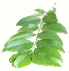 Curry Leaves