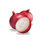 Onion