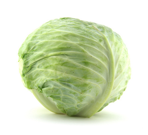 Cabbage