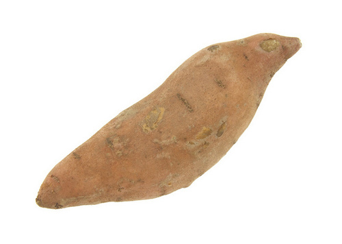 Sweet Potato
