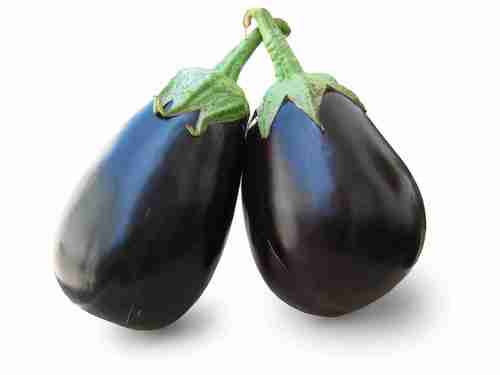 Brinjal