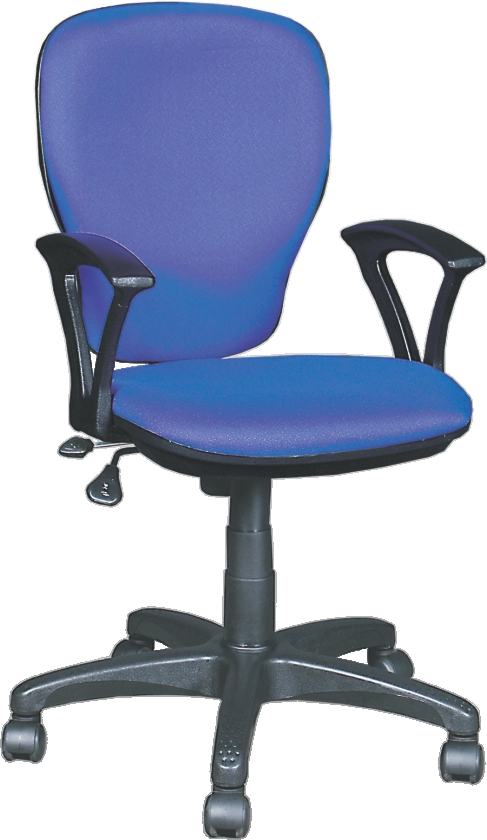 Computer Chairs