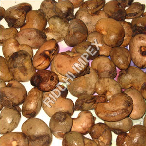Cashew Nuts