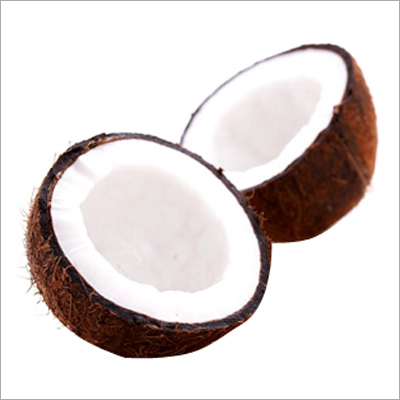 Coconut Shell