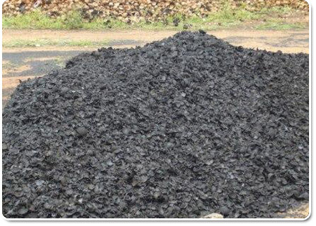 Coconut Shell Charcoal