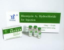 Bleomycin Formulation