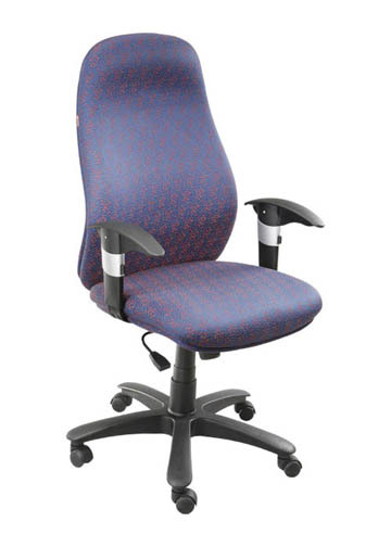 Leather Matrix Chair