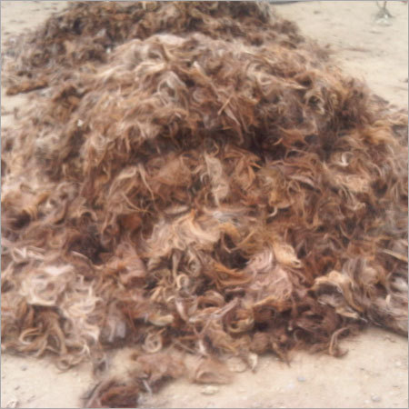 Fawn Brown Goat Hair