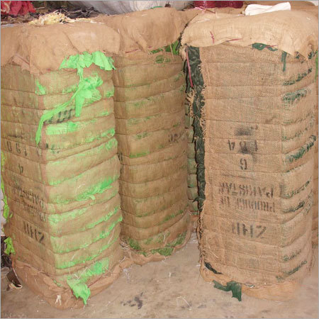 Cotton Green Bales