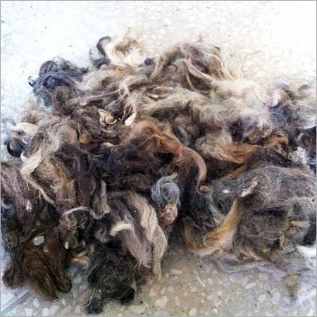 Grey Wool