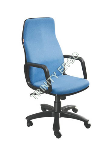 Comfortable Bliss Chairs